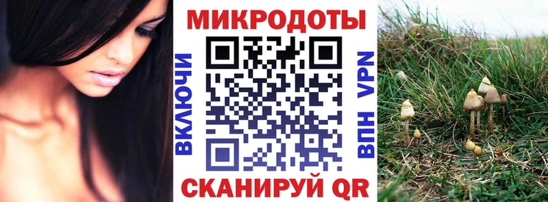 Галлюциногенные грибы Cubensis что такое наркотик Светлый